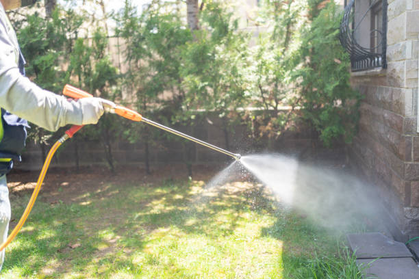 Emergency Pest Control Services in Matteson, IL